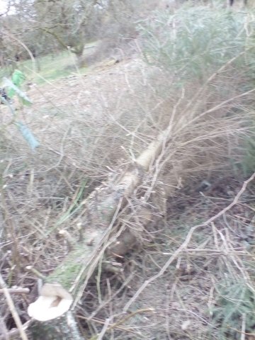 Bild von