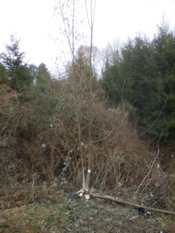 Bild von