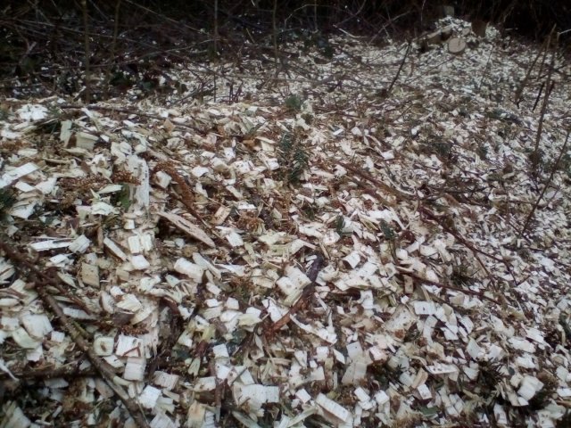 Bild von