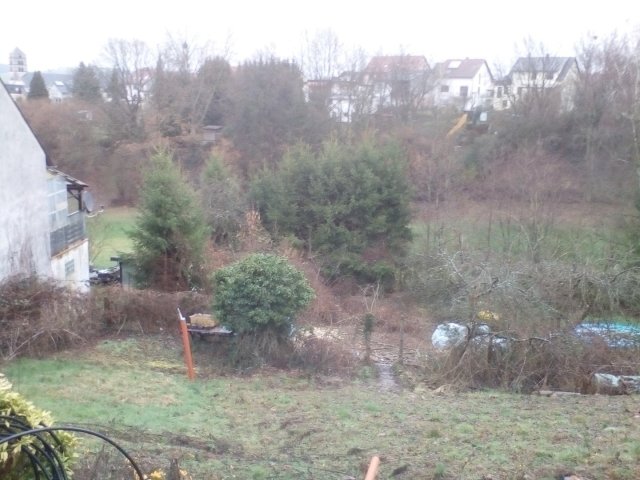Bild von