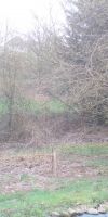 Bild von
