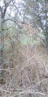 Bild von