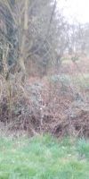 Bild von