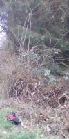 Bild von