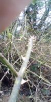 Bild von
