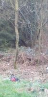 Bild von