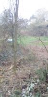 Bild von