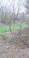 Bild von