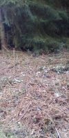 Bild von