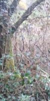 Bild von