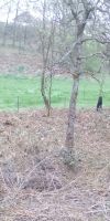 Bild von