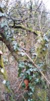 Bild von