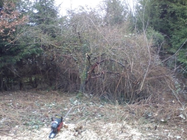 Bild von