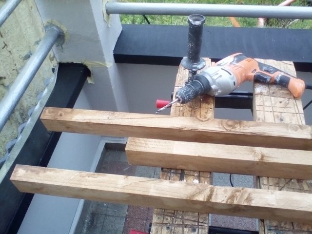 Bild von