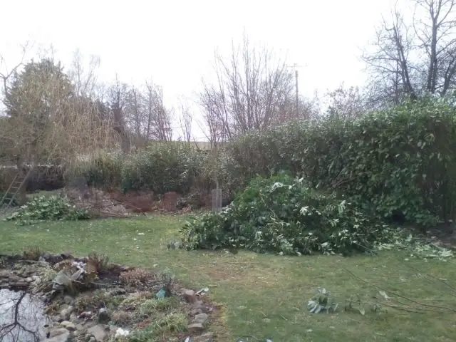 Bild von