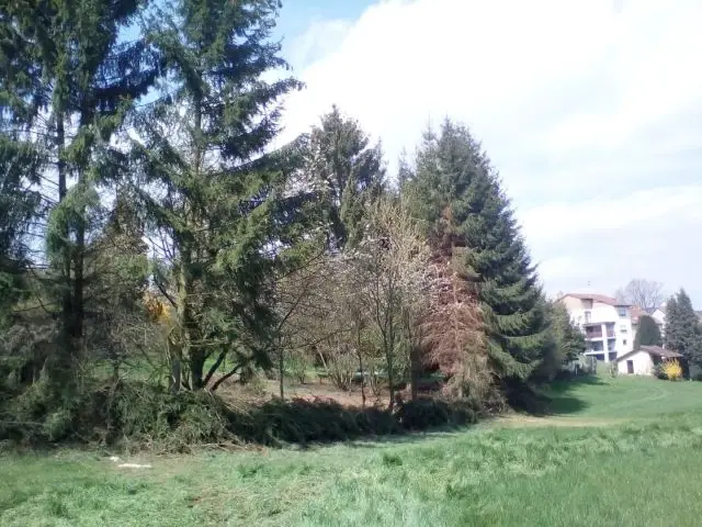 Bild von