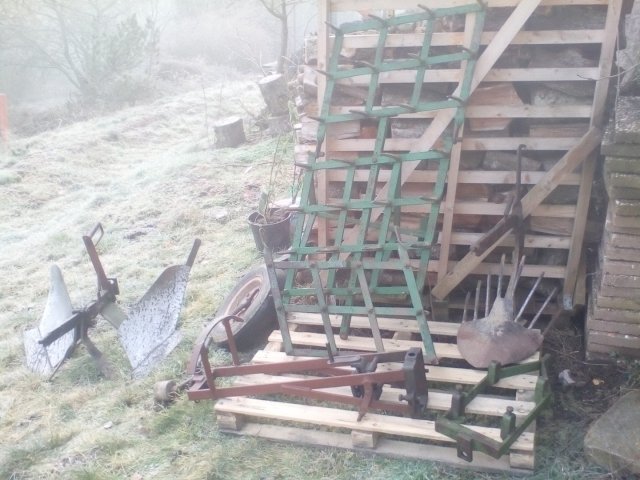 Bild von