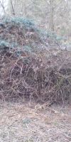 Bild von