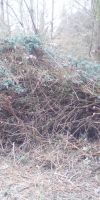 Bild von