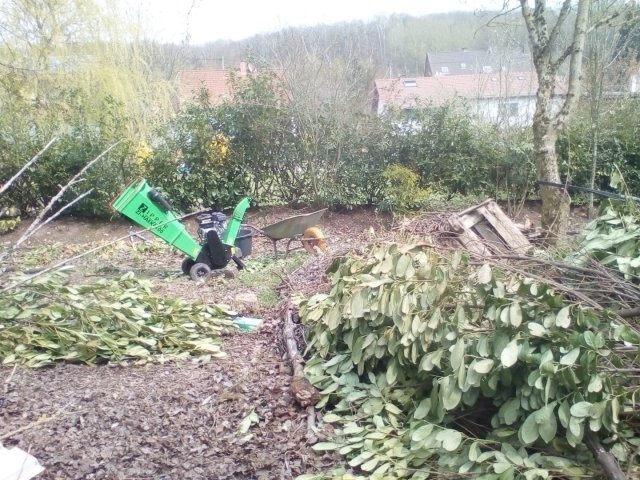 Bild von