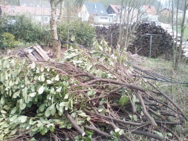 Bild von