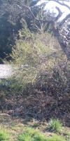 Bild von