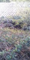 Bild von