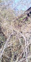 Bild von