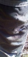 Bild von