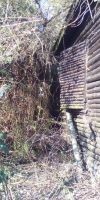 Bild von