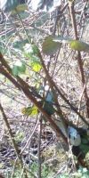 Bild von