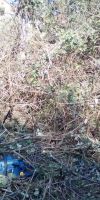 Bild von