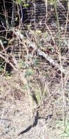Bild von
