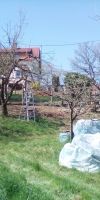 Bild von