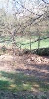 Bild von