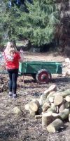 Bild von