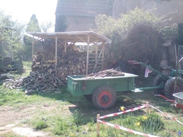 Bild von
