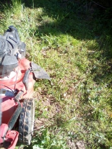Bild von