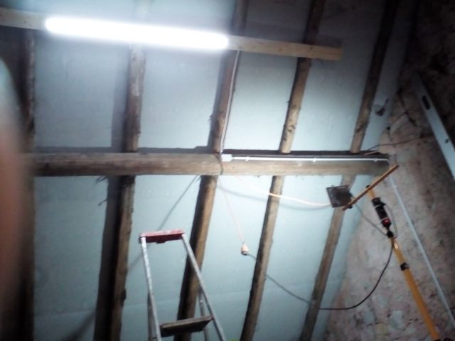 Bild von