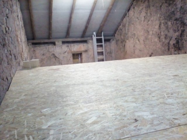 Bild von