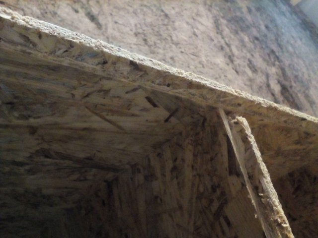 Bild von