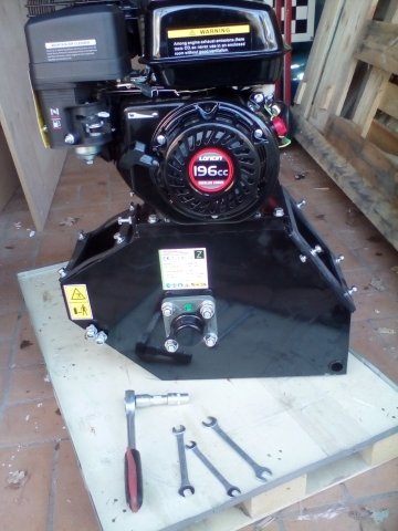 Bild von