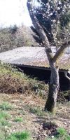 Bild von