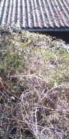 Bild von