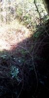 Bild von