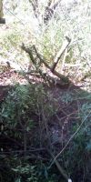 Bild von