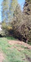 Bild von