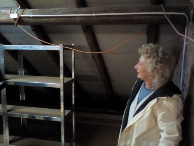 Bild von