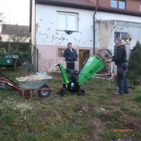 Bild von