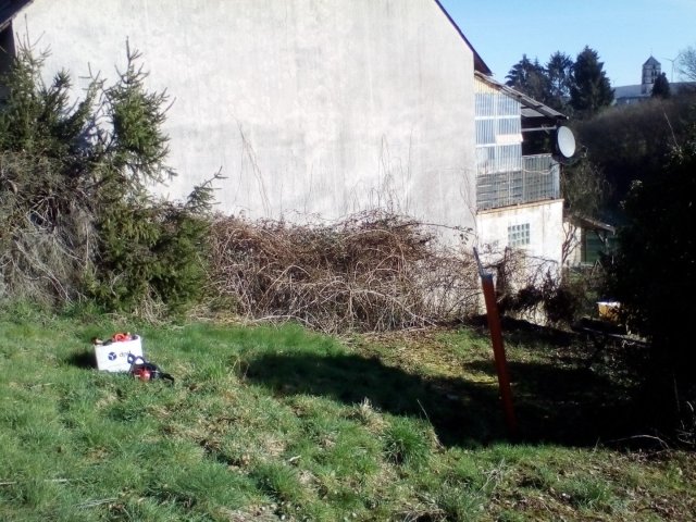 Bild von